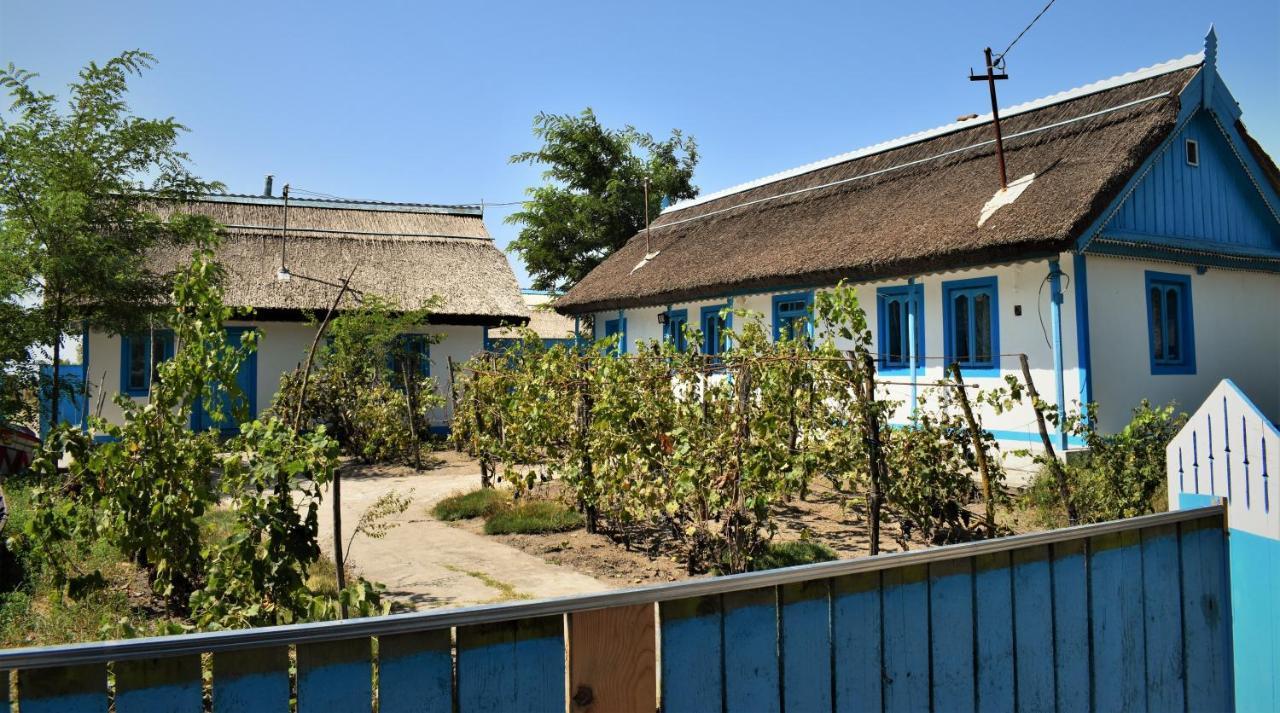 Casa Calin Hotel Crisan  Exterior foto