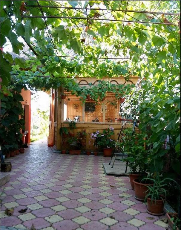 Casa Calin Hotel Crisan  Exterior foto